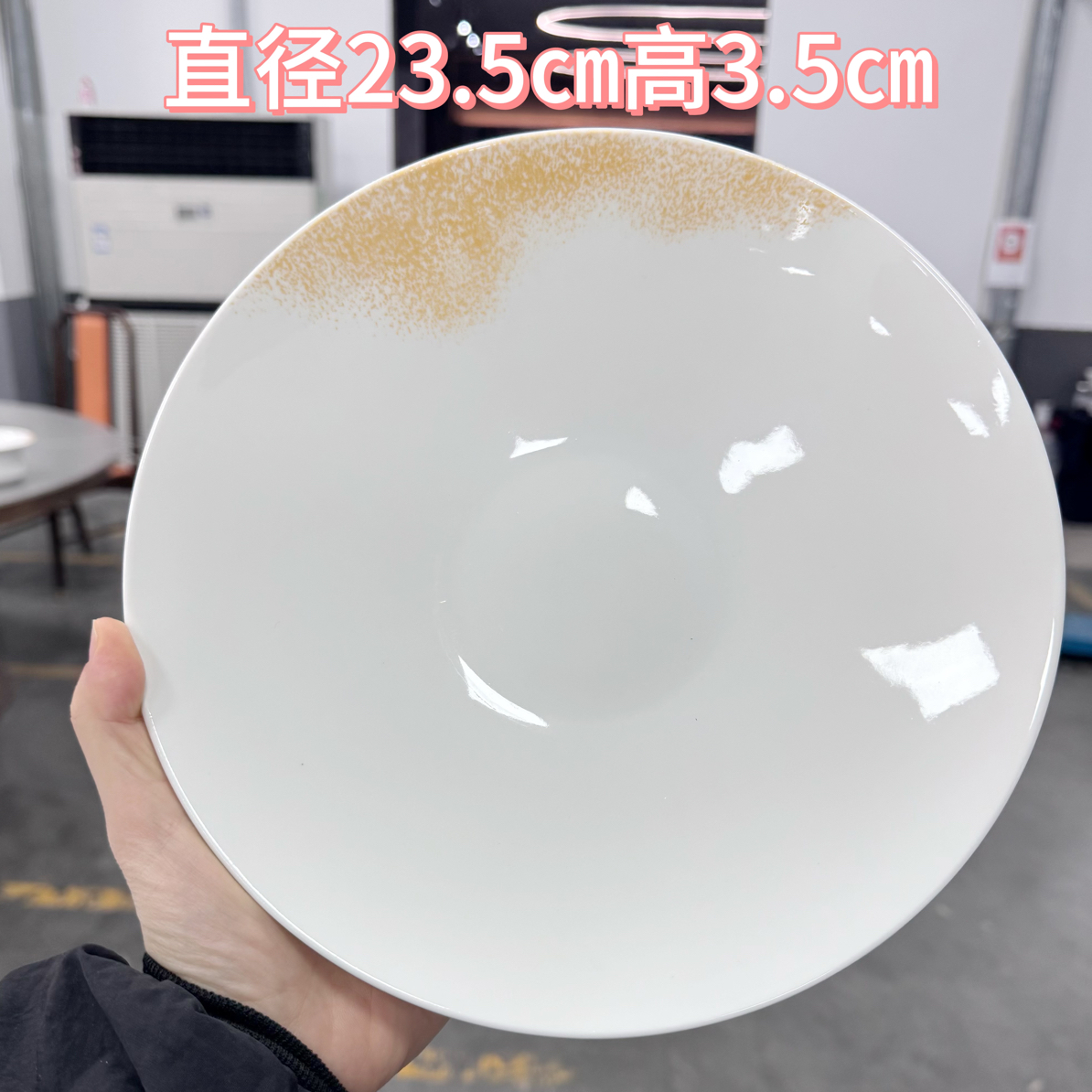 9.5寸简约创意陶瓷商用凉菜炒菜盘简单大气特色盘