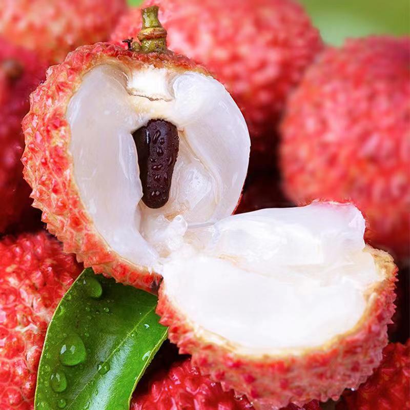 新鲜现货【高州桂味荔枝】整箱6斤 荔枝短枝净重4.5斤 3斤冷链荔枝同城送广东省