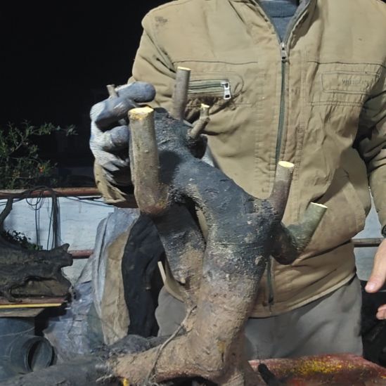 彩***南无花朵山里人家金单子