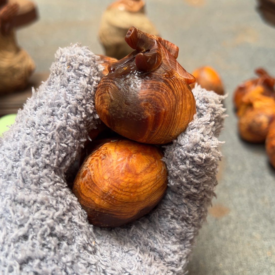 柏木（崖柏）北太行陈化崖柏