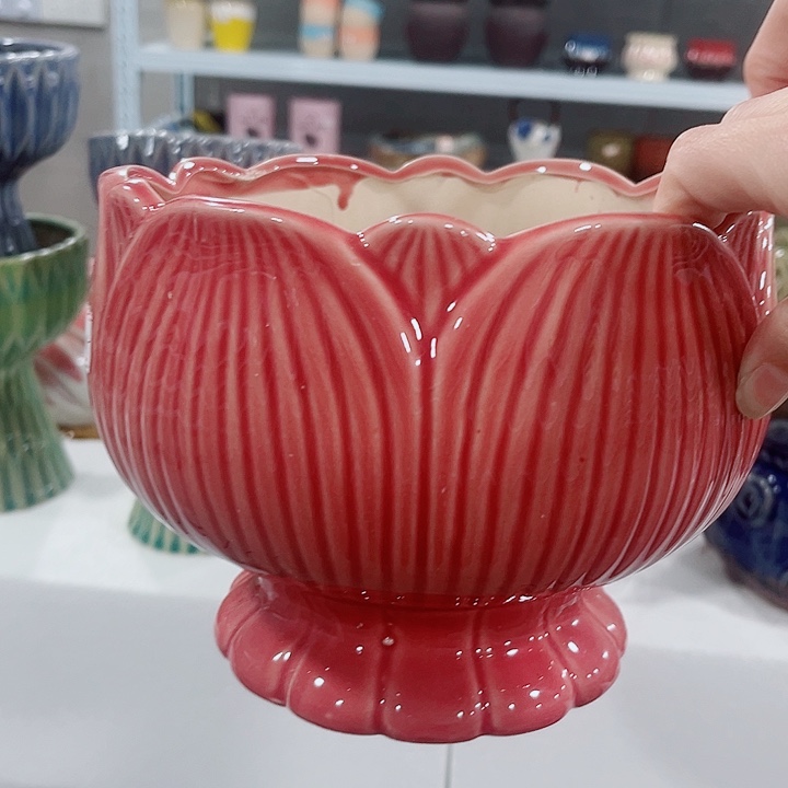 多肉花盆满10元包邮