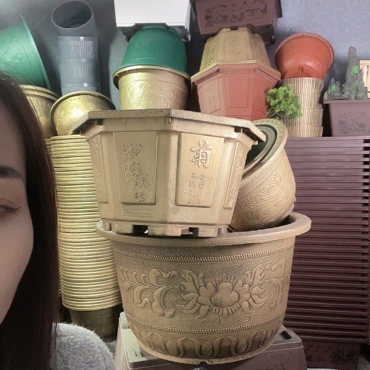 八角60花盆2个95元