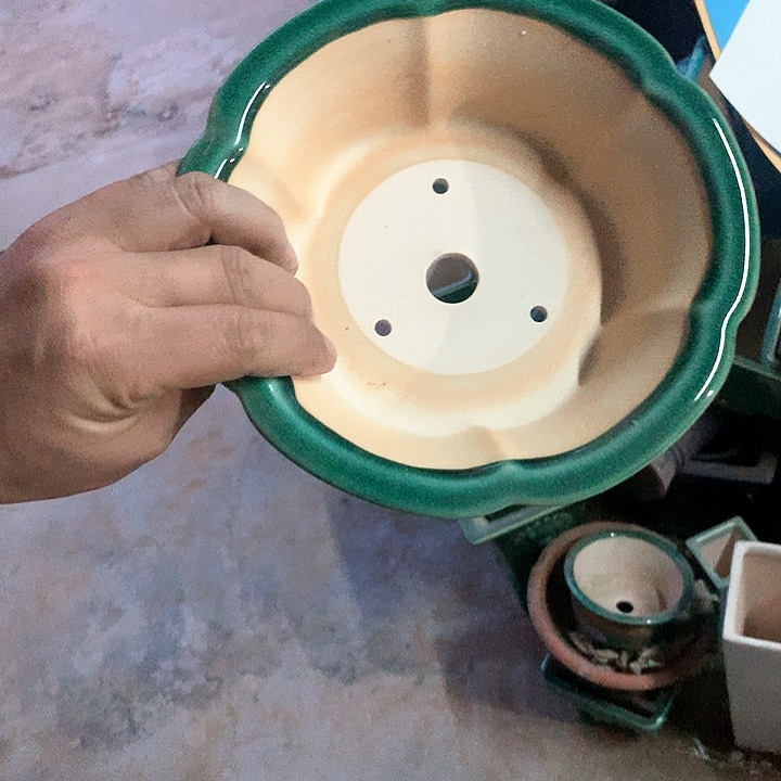 紫砂哈哈真的超级可爱哈哈哈哈哈、