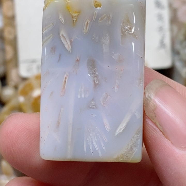 颈饰未镶嵌硅化珊瑚（珊瑚玉）