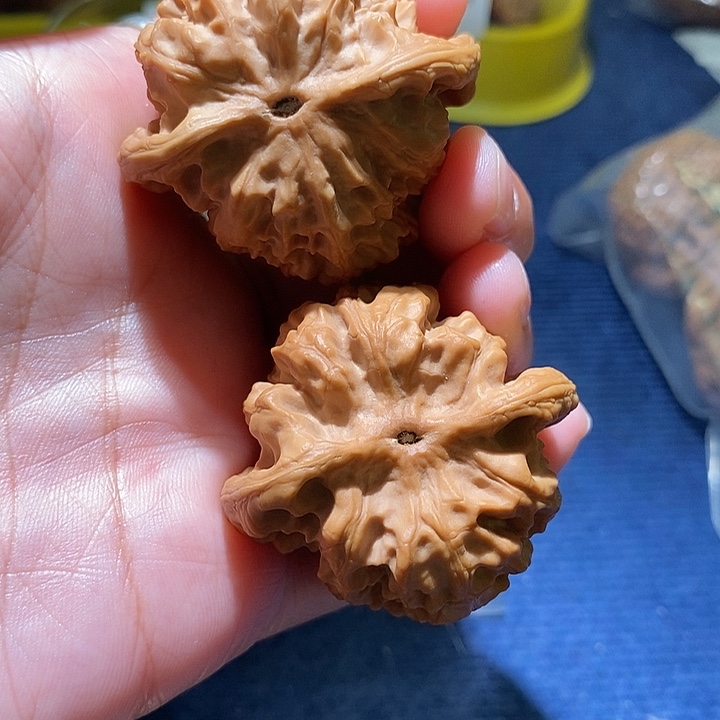 爱***头文玩核桃吊坠野狼