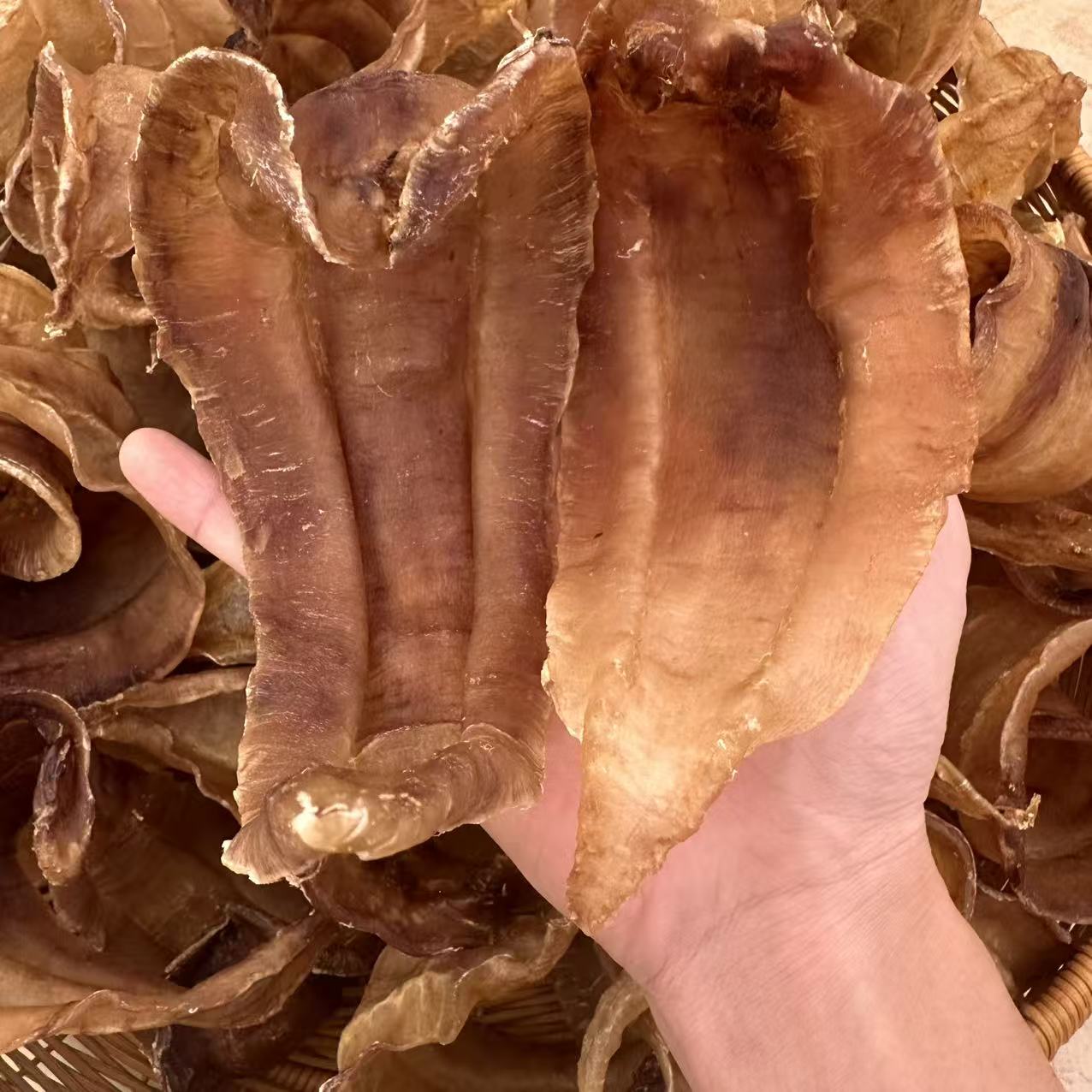 12头正三门土鳘公胶 250克-500克