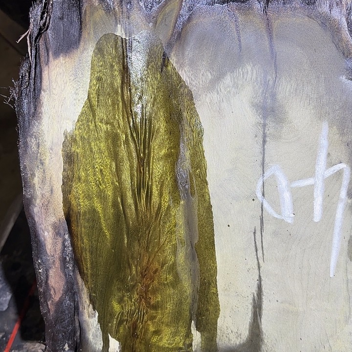 李***师金丝楠金丝楠阴沉木