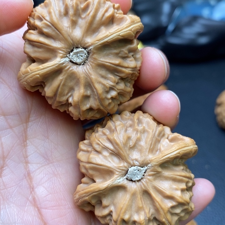 文玩核桃吊坠清*渡毕业宫灯