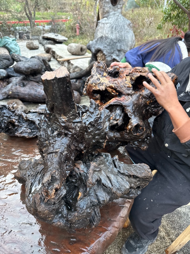 民间使用风化木阴沉木