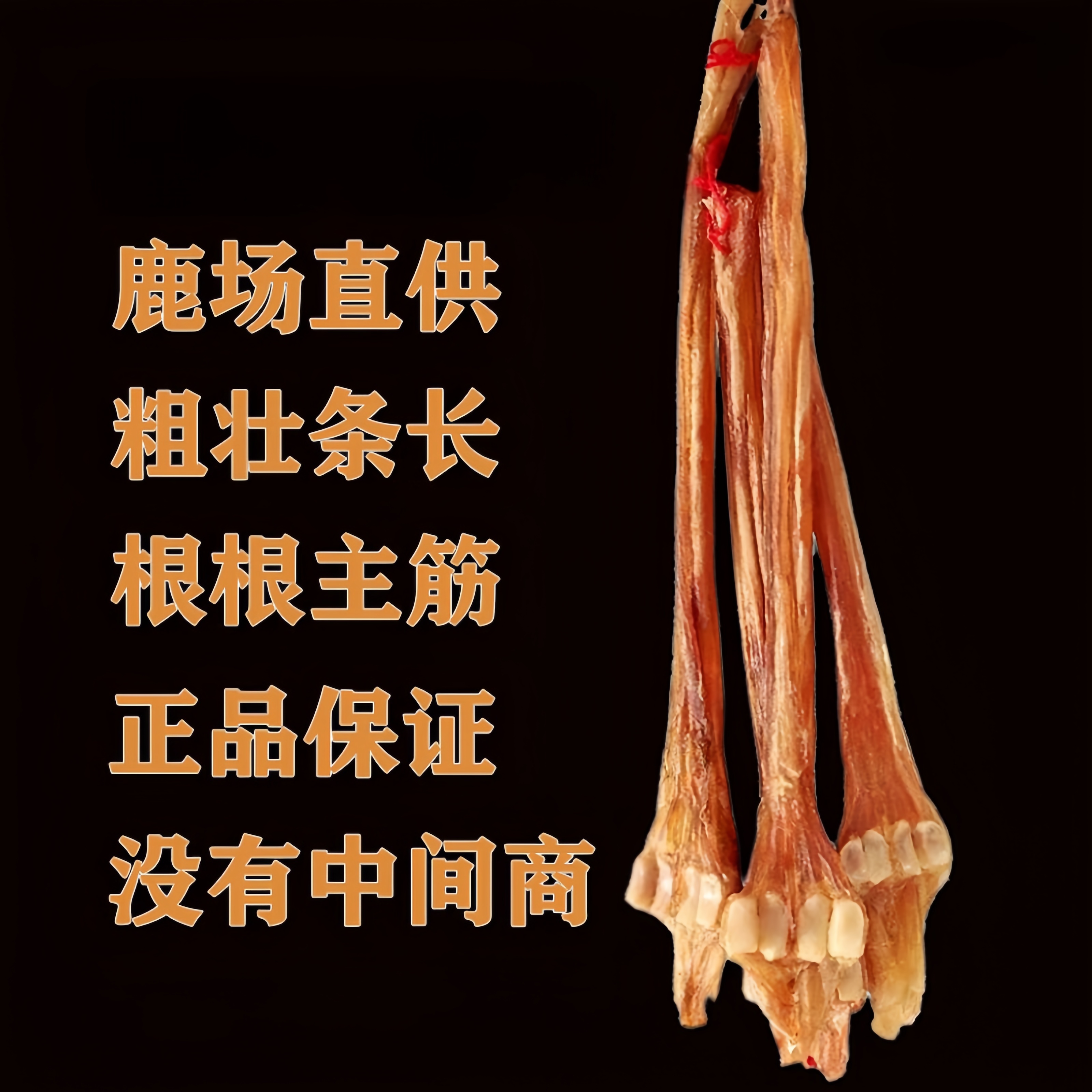 【御鹿堂】泡酒煲汤料正宗鹿蹄筋滋补食材炖菜搭配