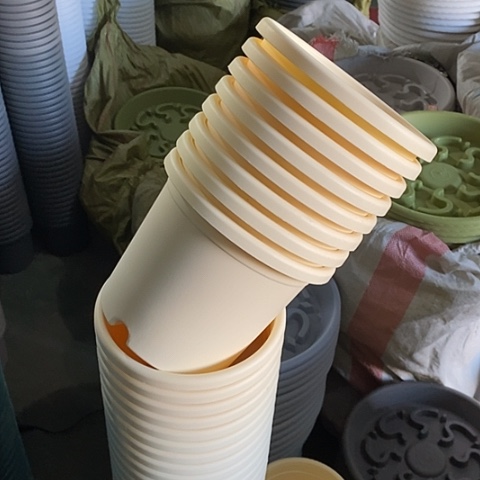 树脂四季2号6个无托米黄