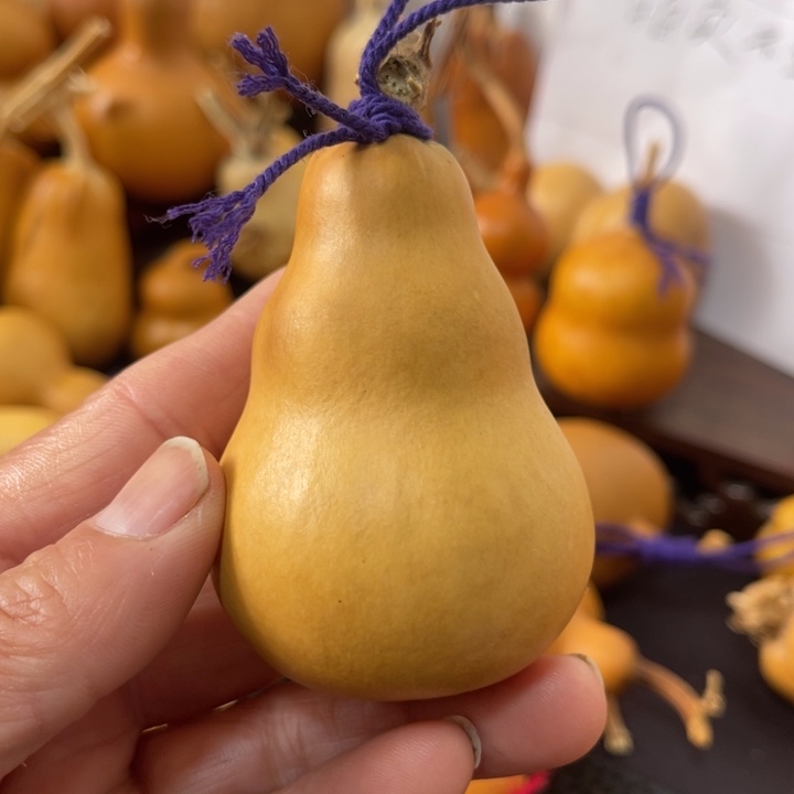 一***风葫芦葫哈哈哈哈哈哈