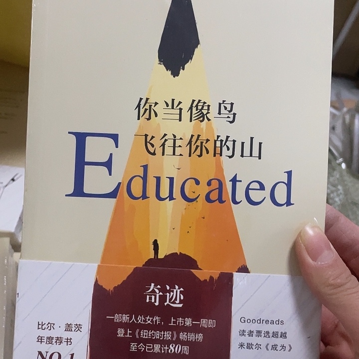 你当像鸟飞往你的山   平装带塑封