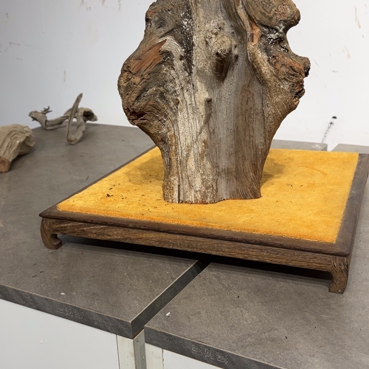 朝***哥柏木崖柏等自然资源和自然条件下生长