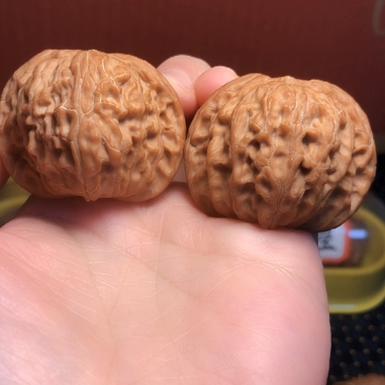 T**n老树山地红皮磨盘