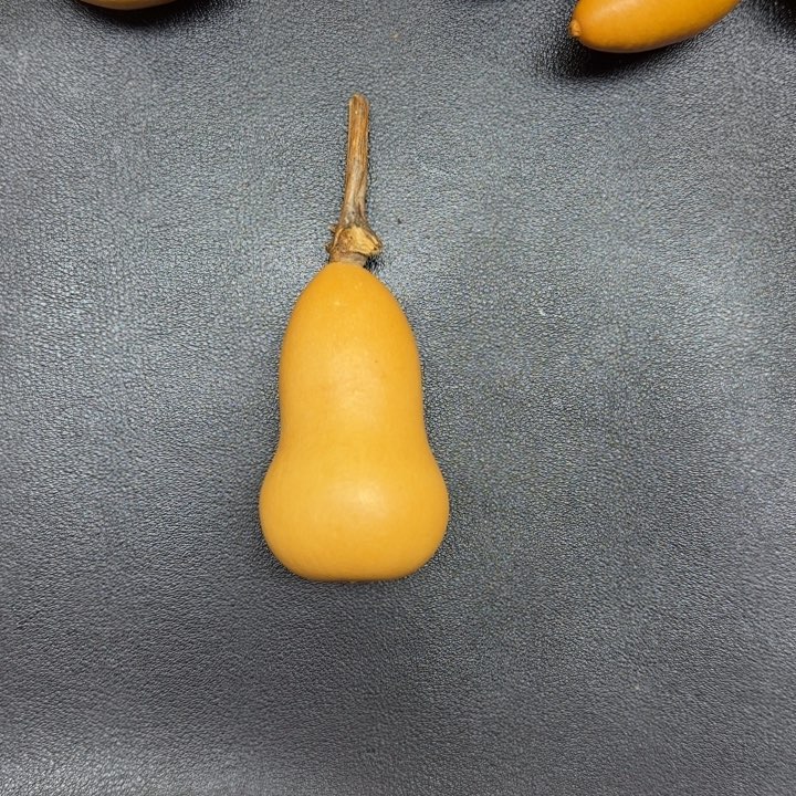 奔***架哈哈哈哈哈哈哈哈哈葫芦