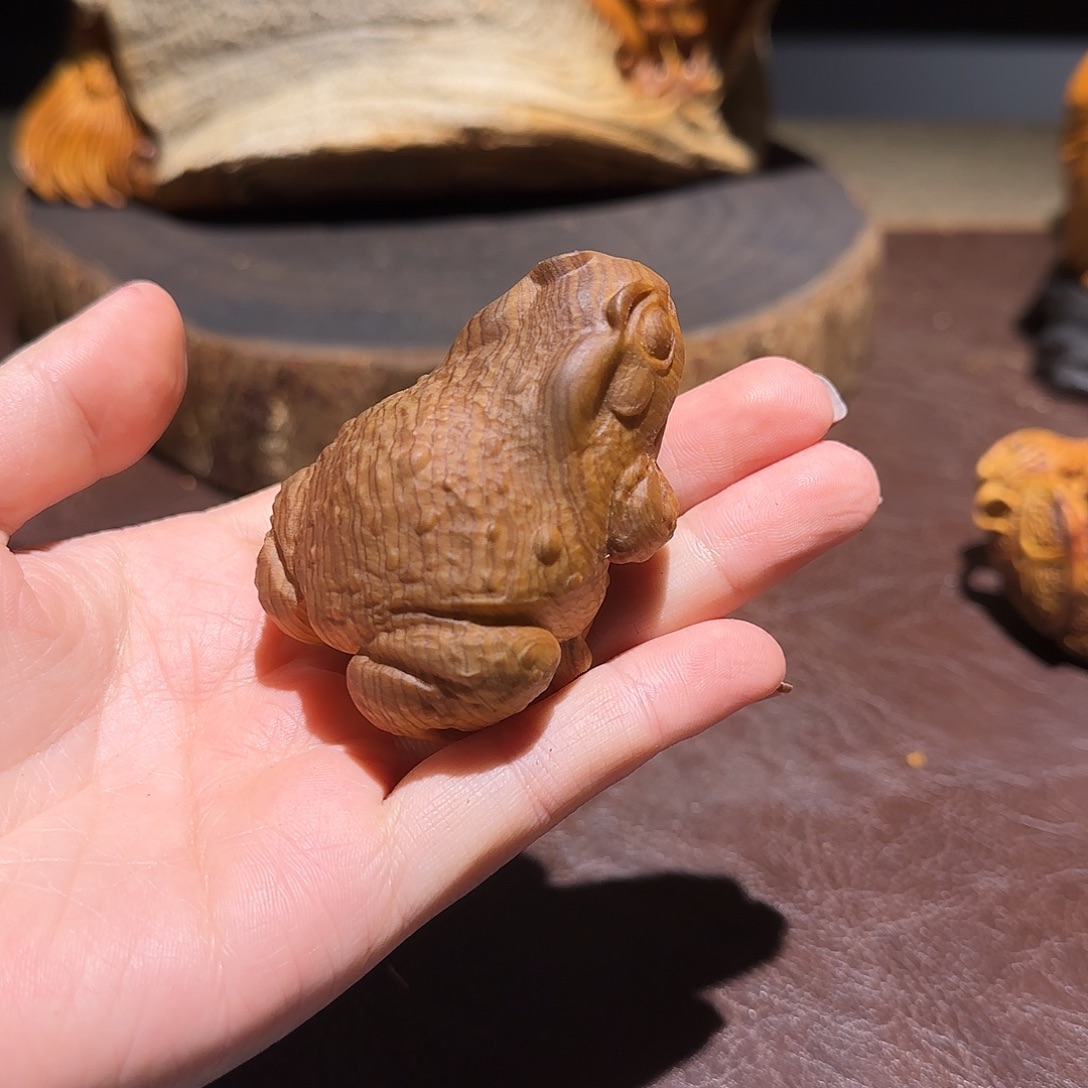 柏木（崖柏）太行集团