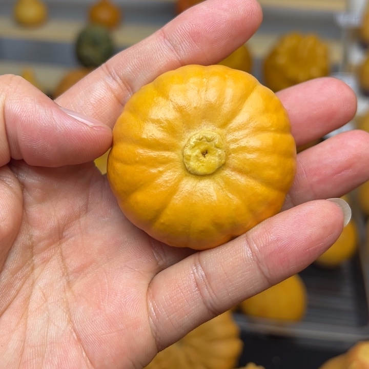 荒**狼福利福利福利福利