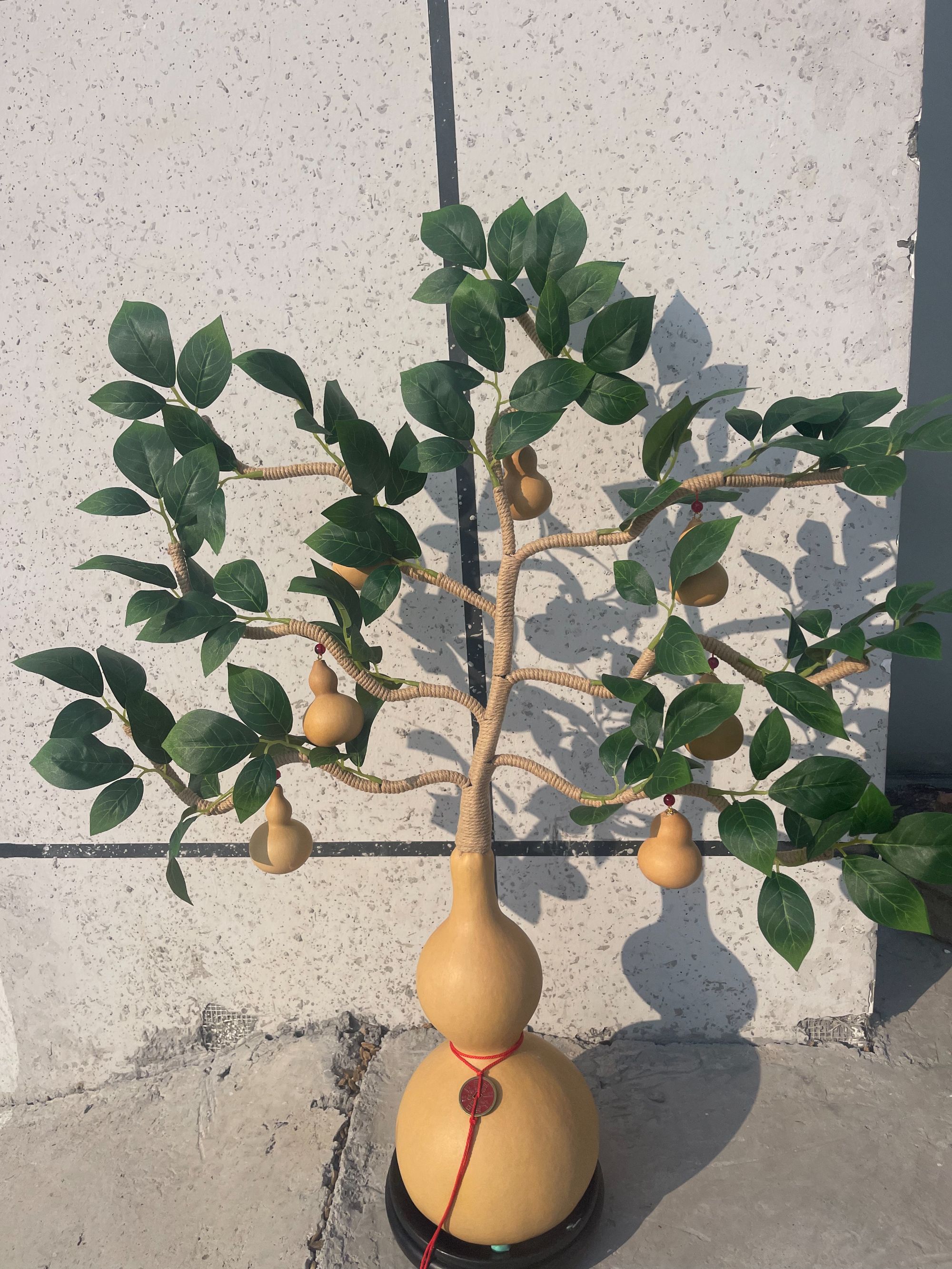 发财树七枝葫芦娃