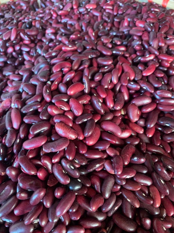 云南农家自晒红腰豆