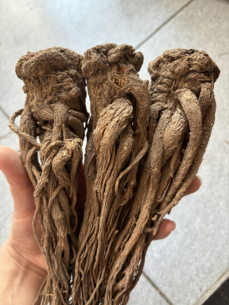 当归大条产地直销精选整根4—5支 正宗甘肃岷县正品滋补 泡水煲汤