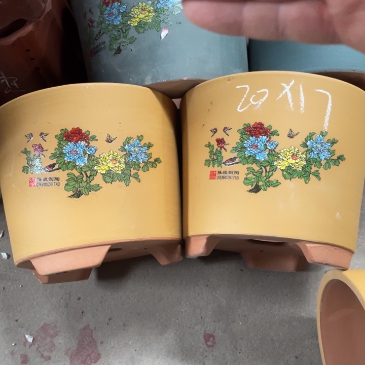 紫砂紫砂紫砂紫砂紫砂紫砂