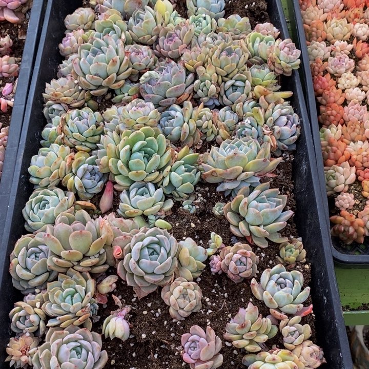 752点多才能下班回家了。