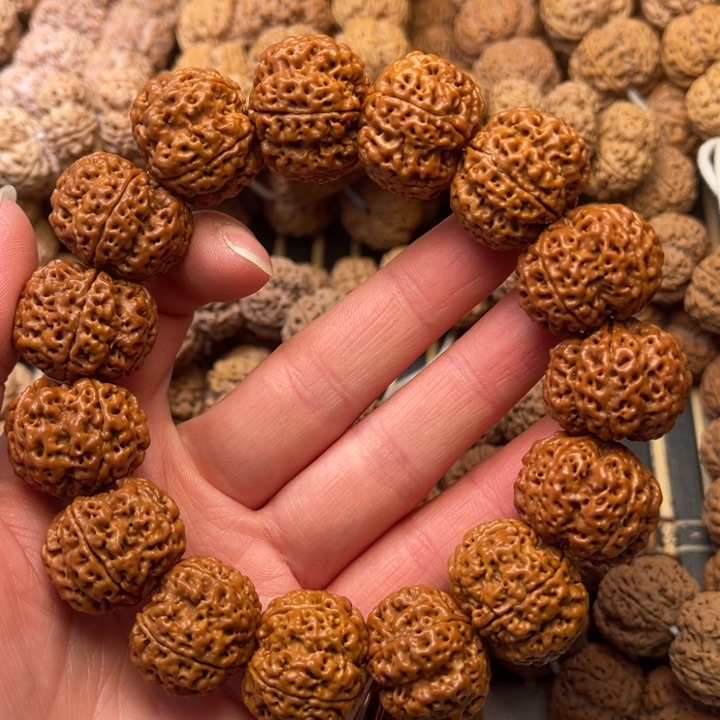 菩提尼泊尔大金刚梁梅花23