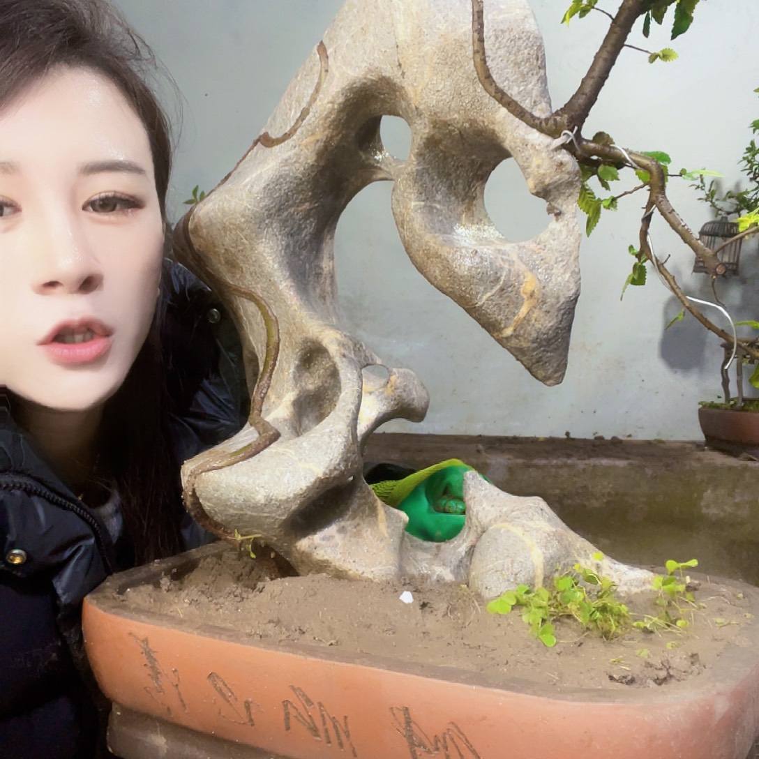 十***)无花朵天  一   下午中央音乐学院中文系