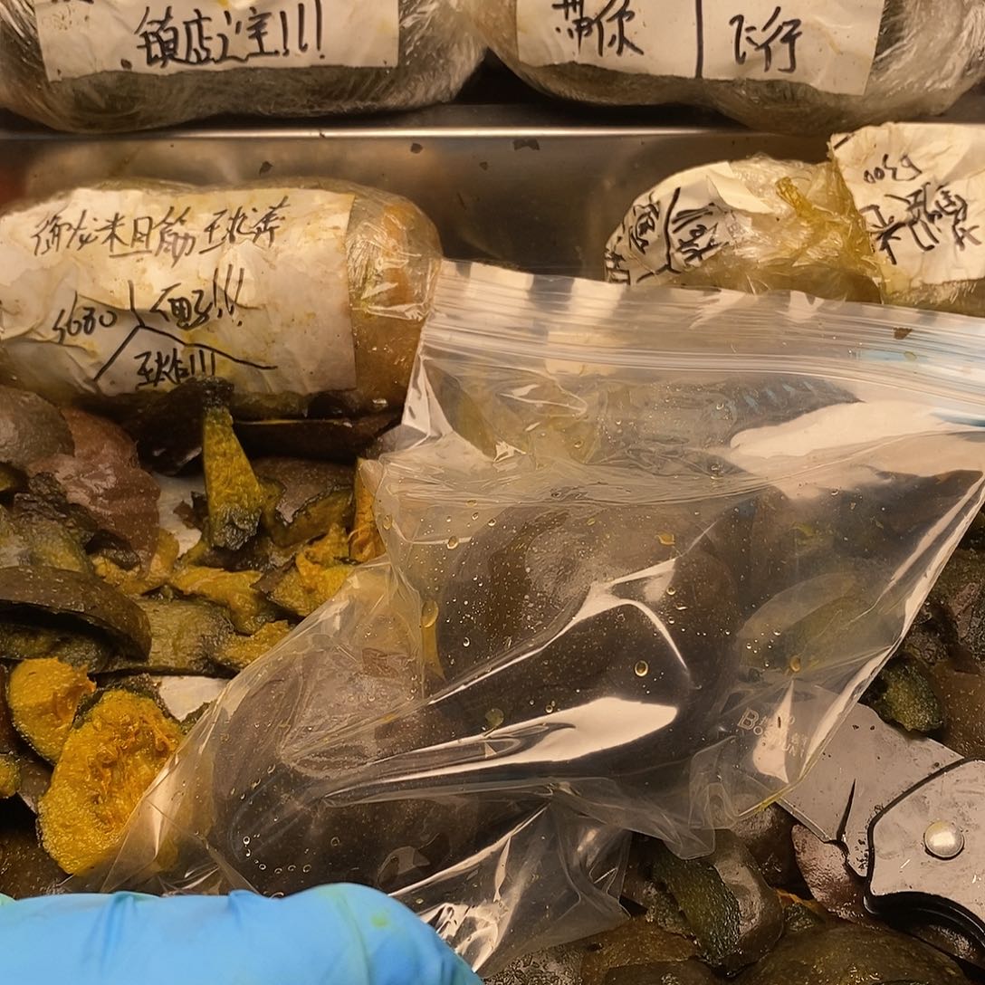 4***5感觉你你就男男女女哈哈