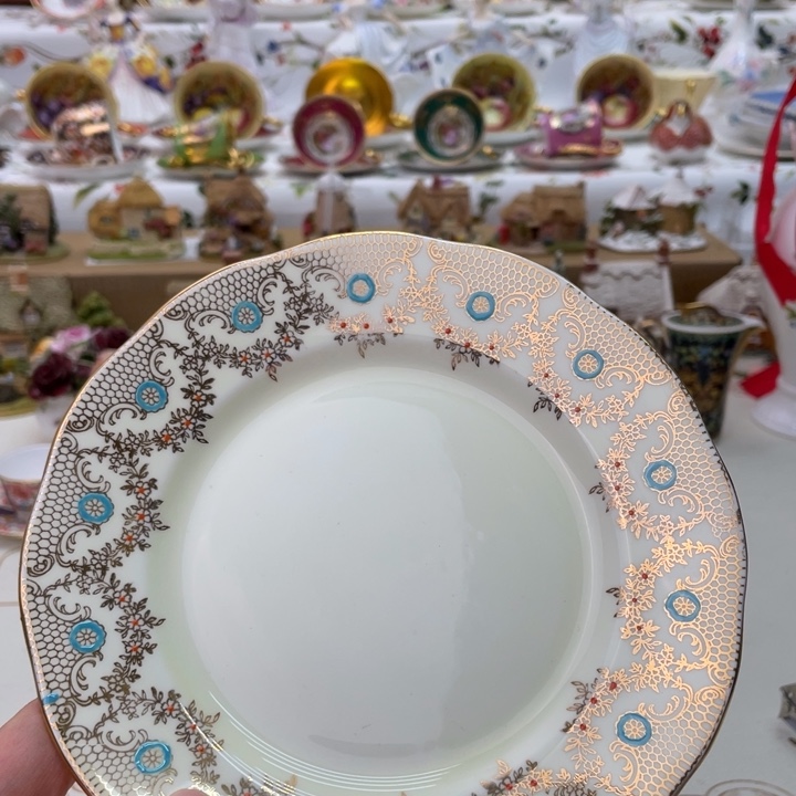 盘维多利亚欧洲中古