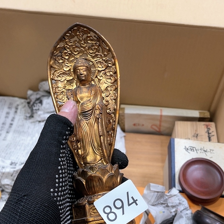 茶宠我们都在努力着改变自己