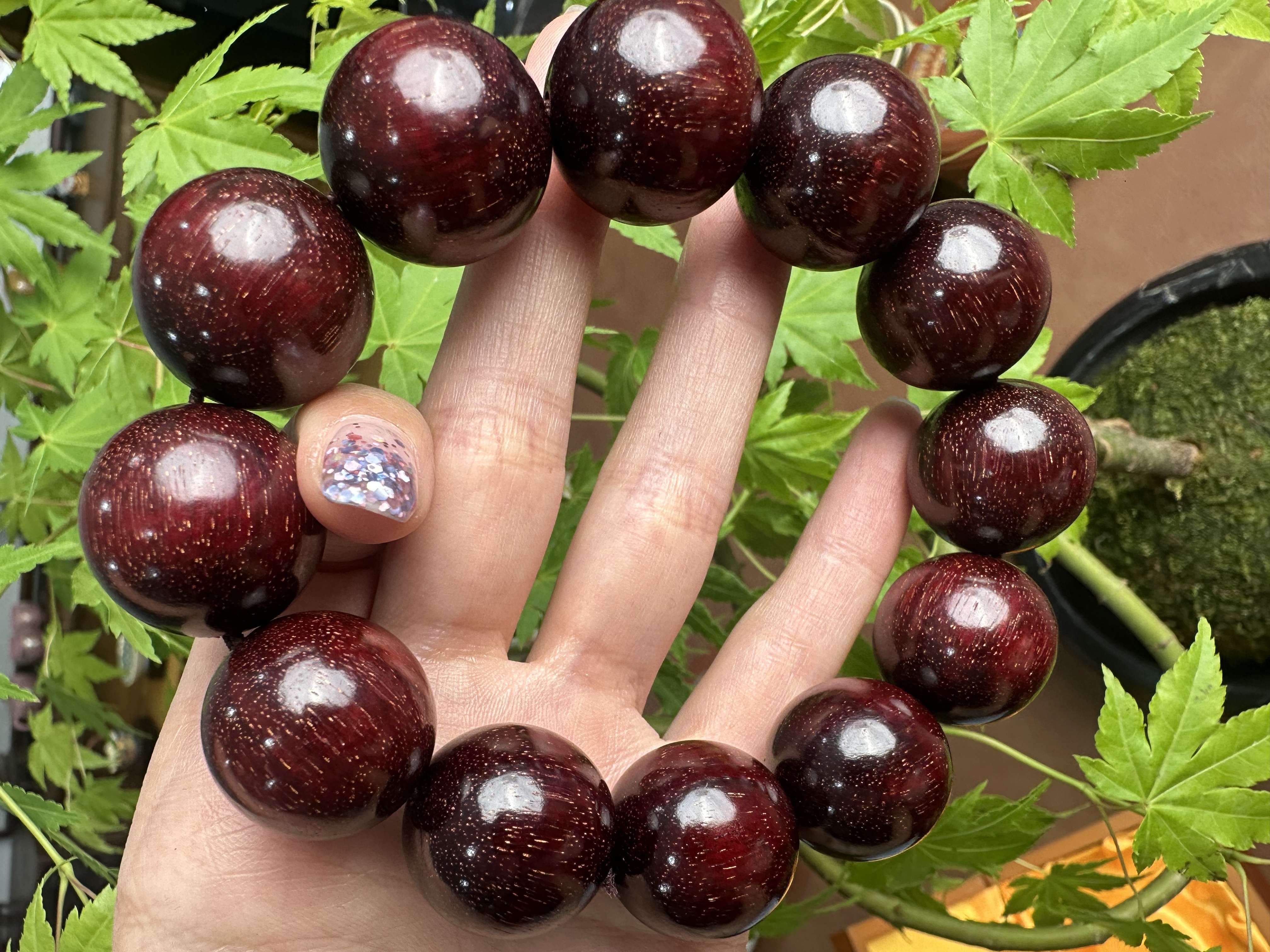 0332偏红金星单圈2.0