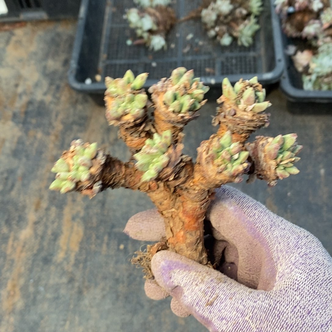 2089哈哈哈哈哈哈哈哈哈哈