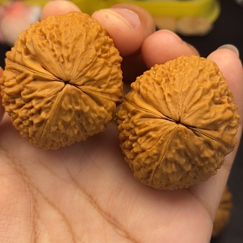 文玩核桃把件41尺密纹狮子