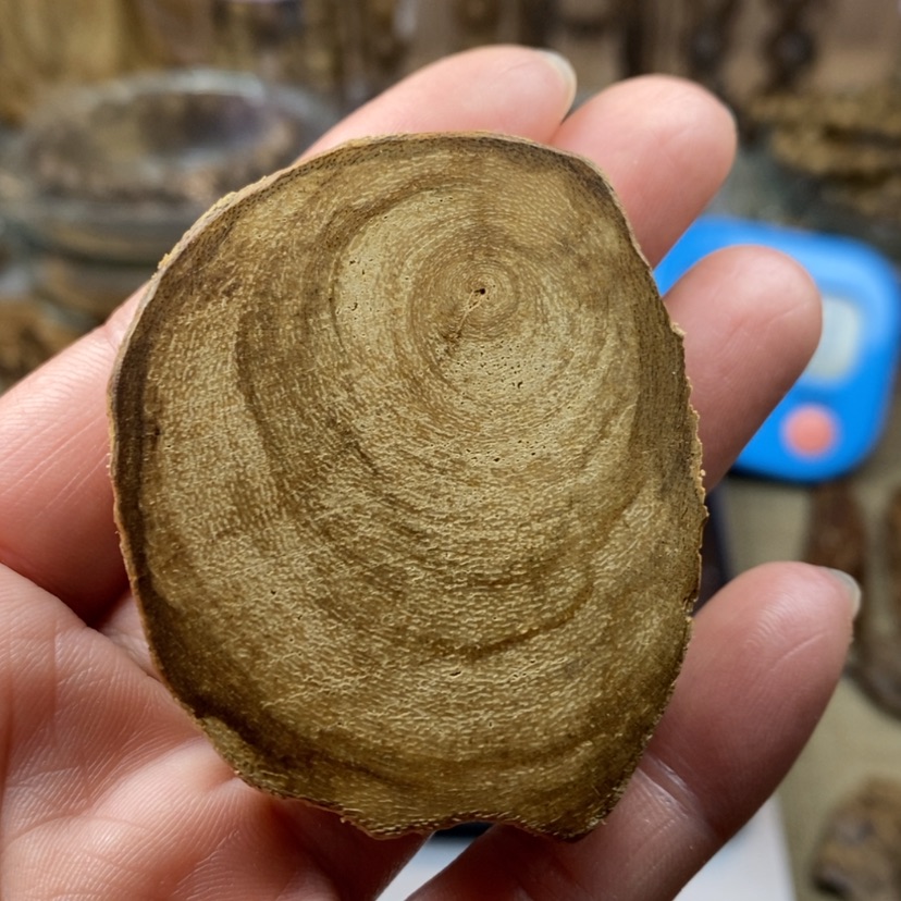 【闪购商品】沉香沉香碎屑达拉干