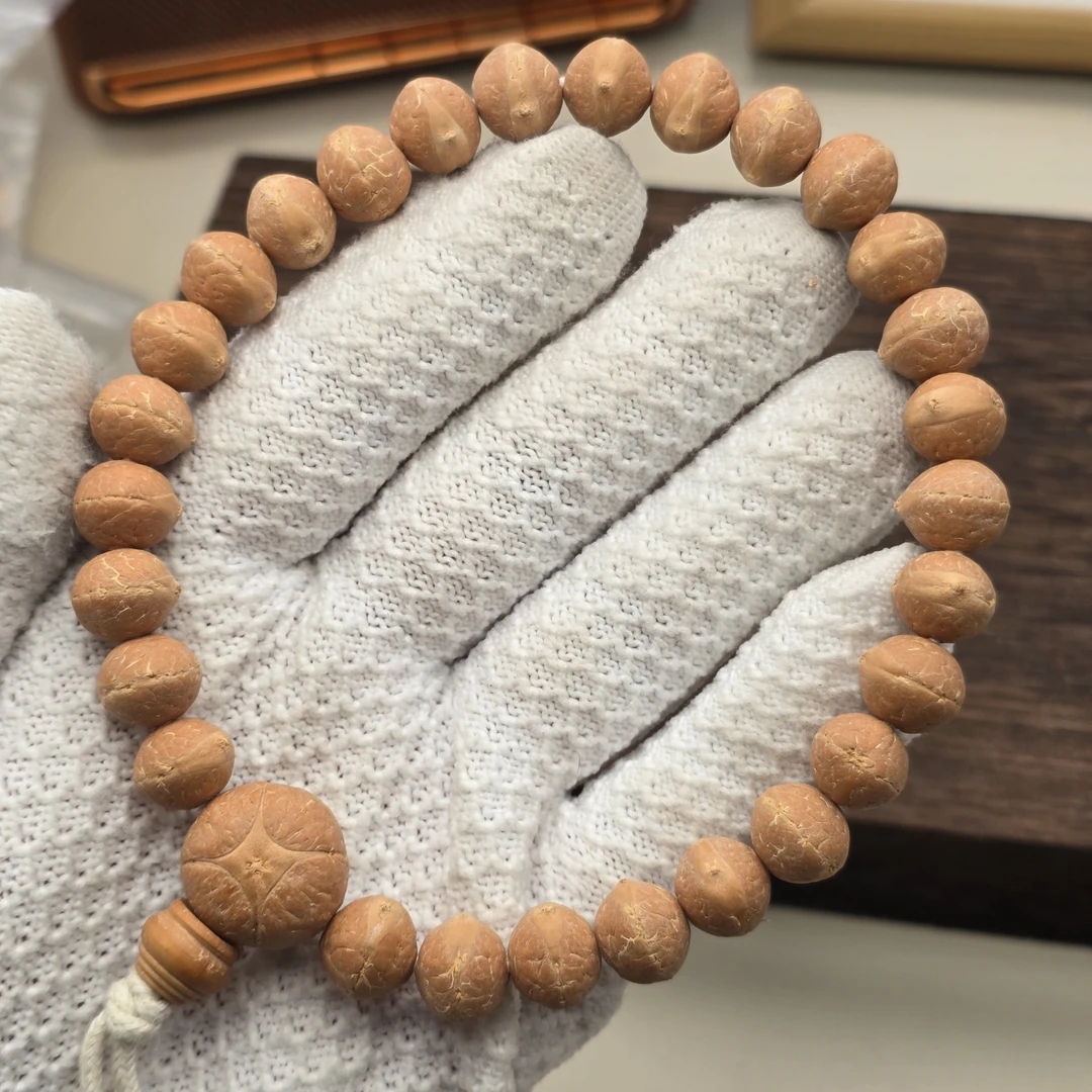 尼泊尔实心凤眼菩提-红柚sss系列-尺寸11.3到11.7- 货号hy9