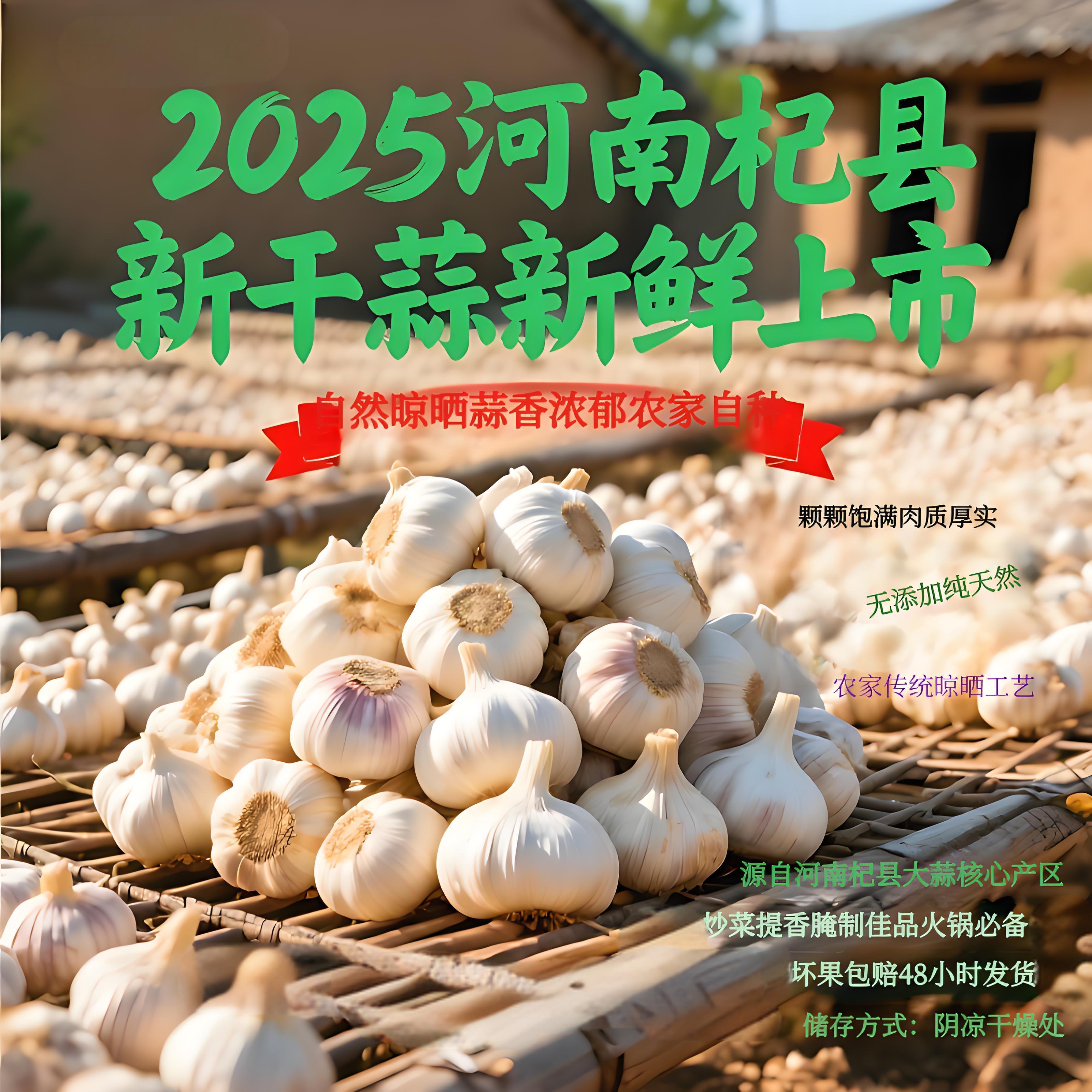 《杞县新干蒜》开封核心产区农家2025年自种紫白皮大蒜