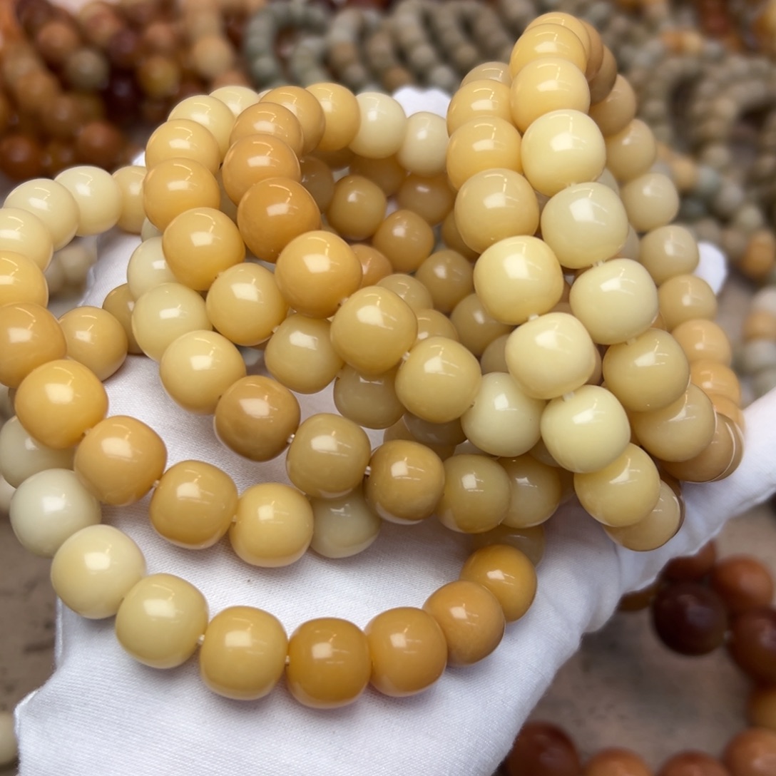 吊坠菩提根/象牙果13机抛开播福利发一条767