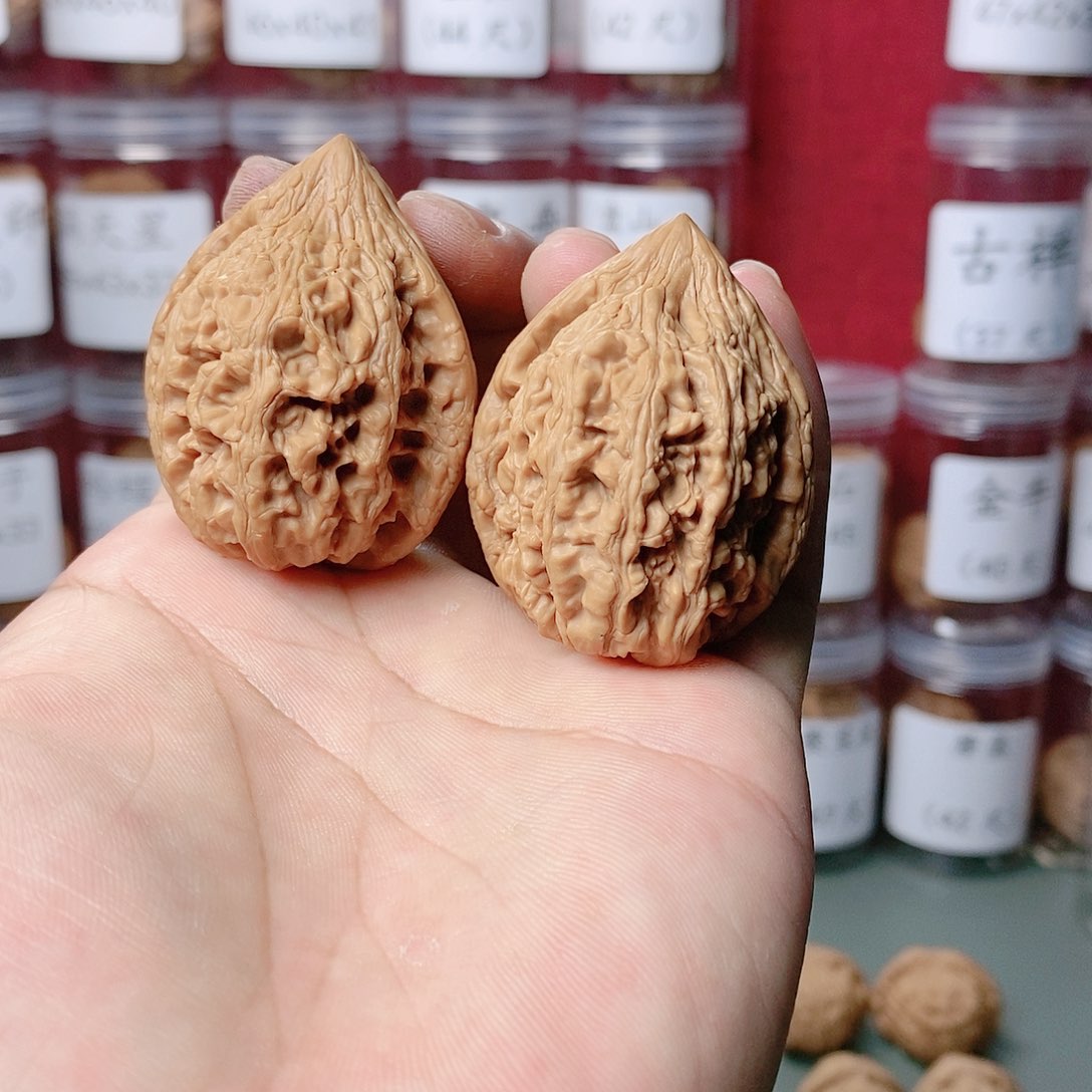 39尺精对大沽石一对