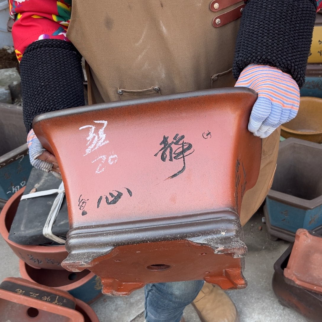紫砂花盆盆景艺术