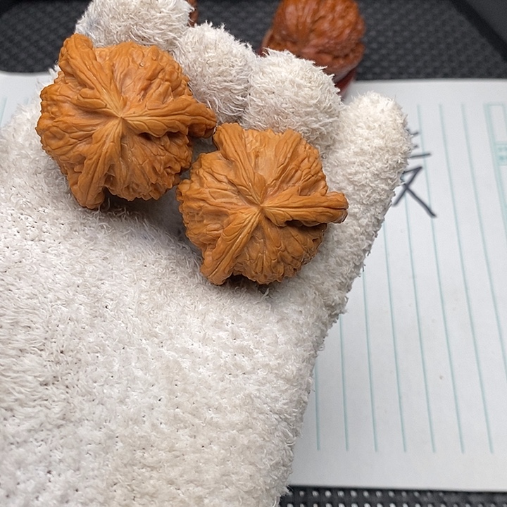 核桃手串/手链白狮子3