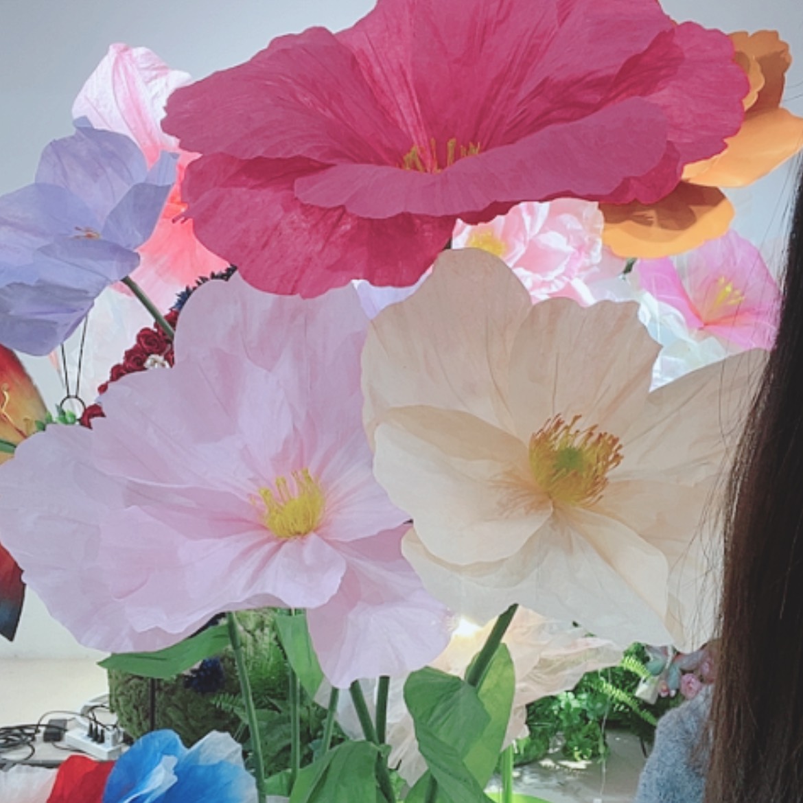 【闪购商品】单花头