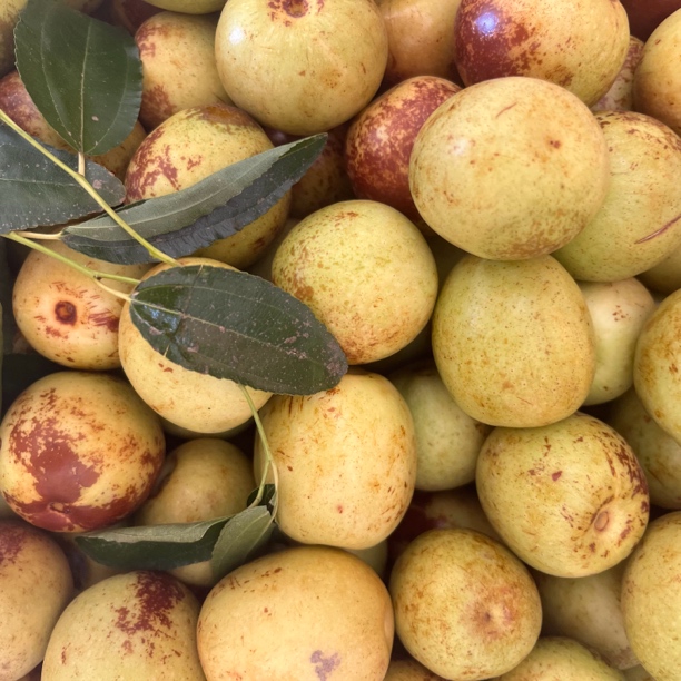 农家冬枣 边境收山货