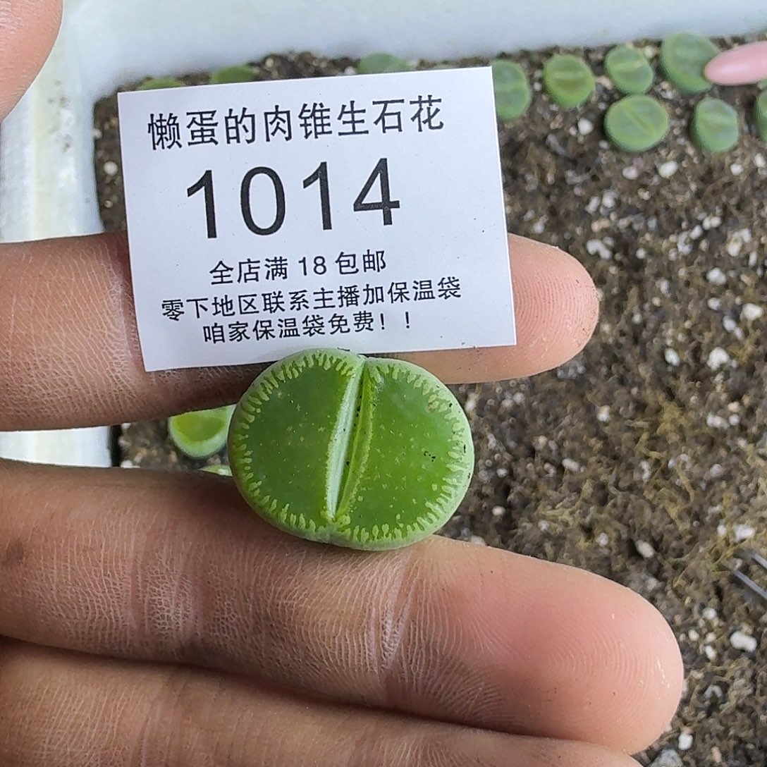 朱***侠1014 哈哈哈哈哈哈哈哈