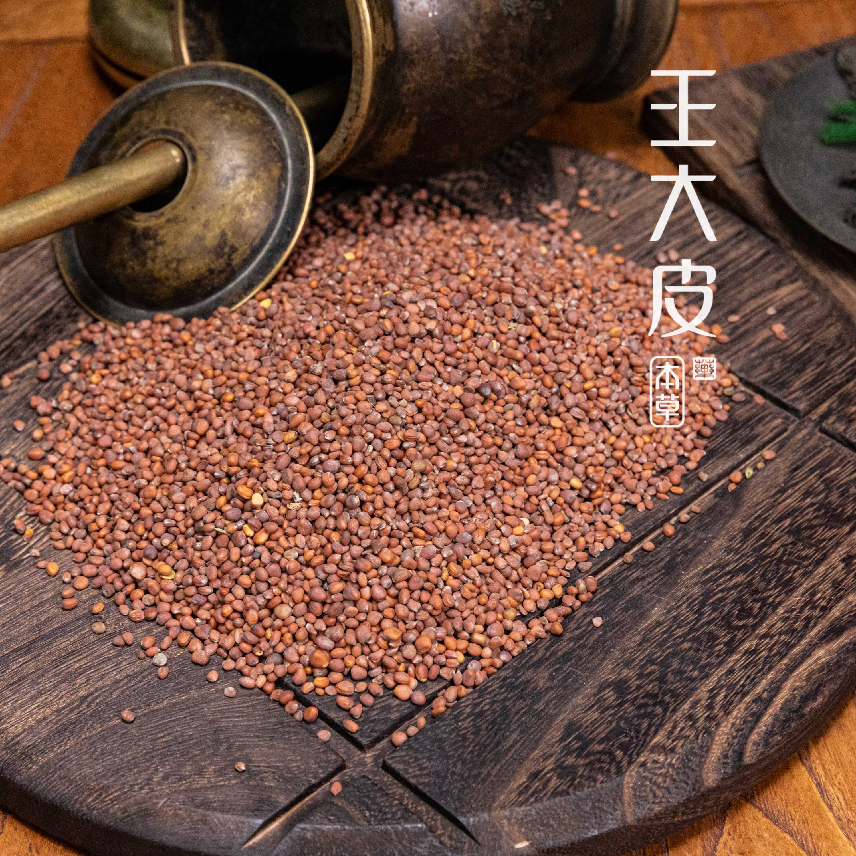 生莱菔子  道地高品质经方经典优质正宗原产地直邮新鲜