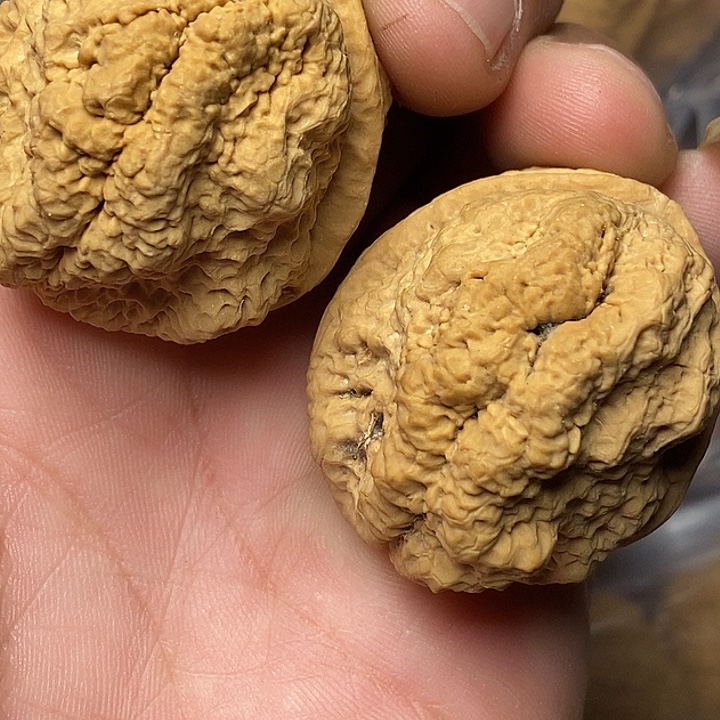 把件文玩核桃志成云铁文玩1