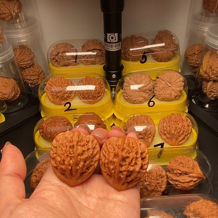 39高尖龙门涧  酒杯底