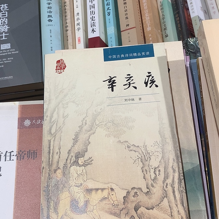 辛弃疾默认微瑕介意勿拍