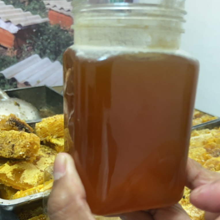 云南茶花茉莉中草植物蜜花农式百花蜜源（送茉莉花茶）(送蜂蜡）